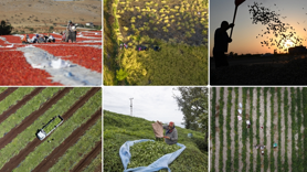 Tarım sayımının yüzde 90'ı tamamlandı