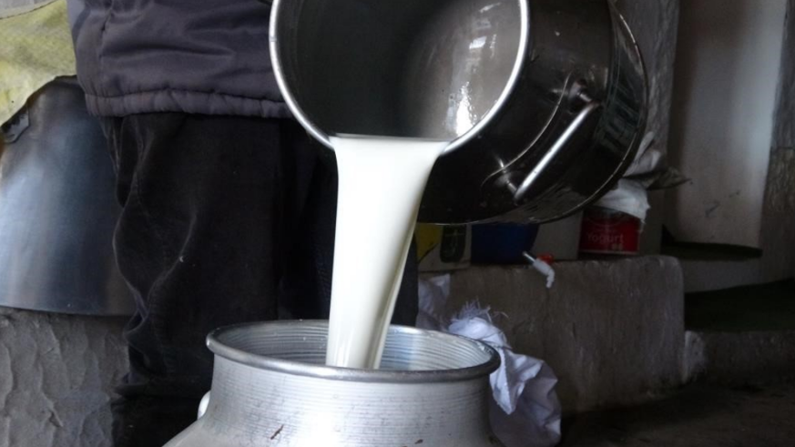 Çiğ süt fiyatları belli