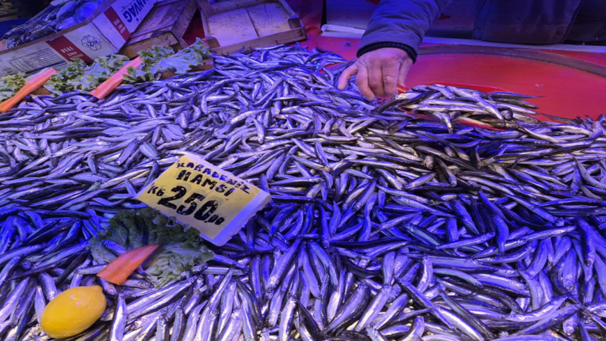 Balık tezgahlarının gözdesi sardalya oldu
