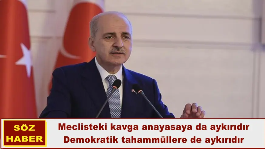Meclisteki kavga anayasaya aykırıdır