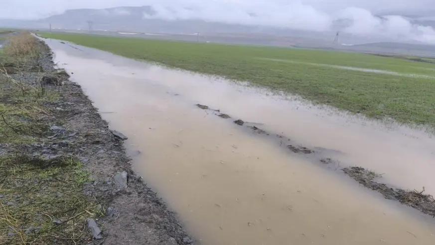Tarım arazileri su altında kaldı