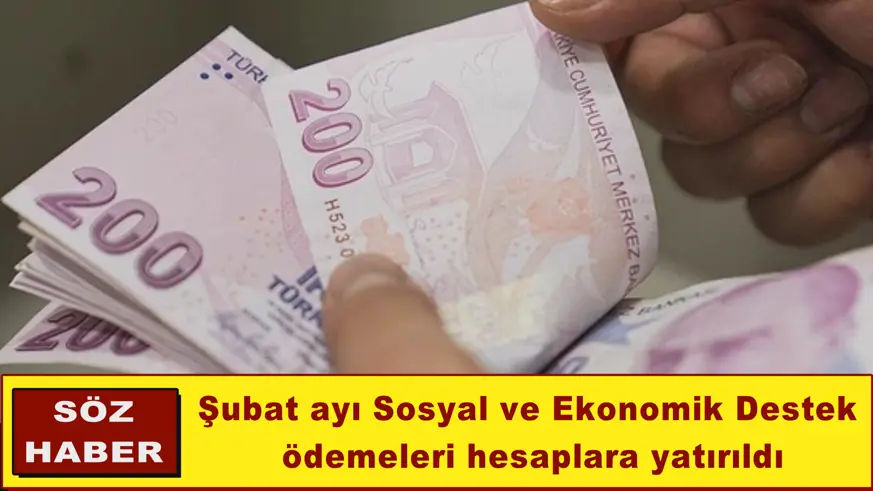 Şubat ayı Sosyal ve Ekonomik Destek ödemeleri hesaplara yatırıldı