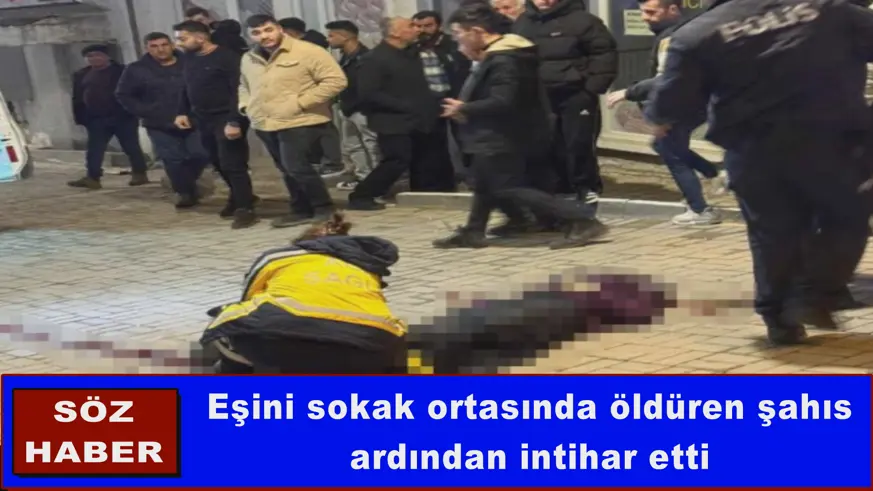 Eşini öldüren şahıs intihar etti