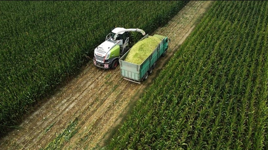 Tarım-ÜFE yıllık yüzde 43,58 arttı