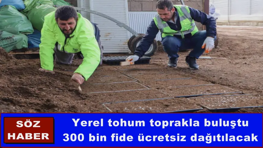 Yerel tohum toprakla buluştu