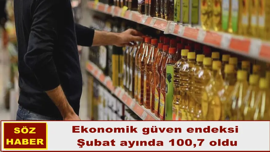 Ekonomik güven endeksi