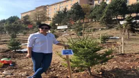 Mezar başında kalp krizi geçiren anne hayatını kaybetti