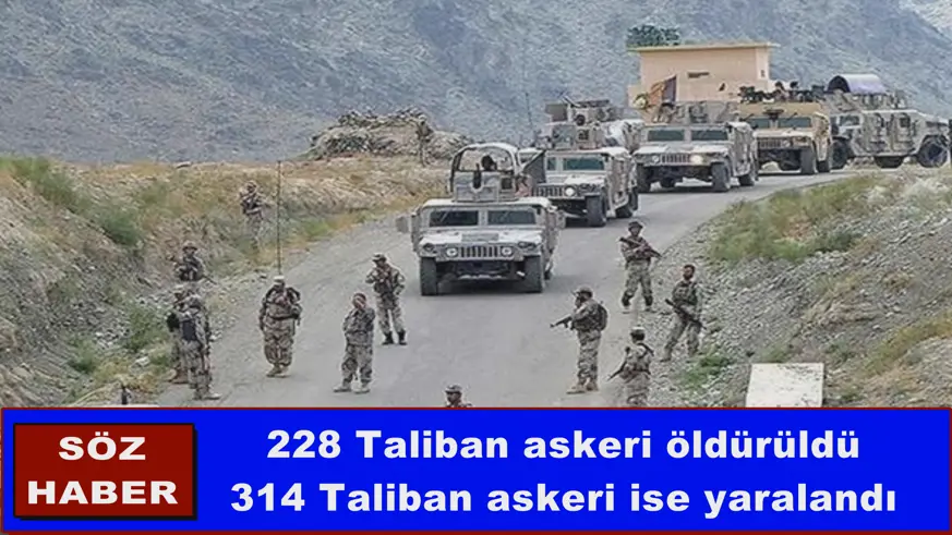 228 Taliban askeri öldürüldü