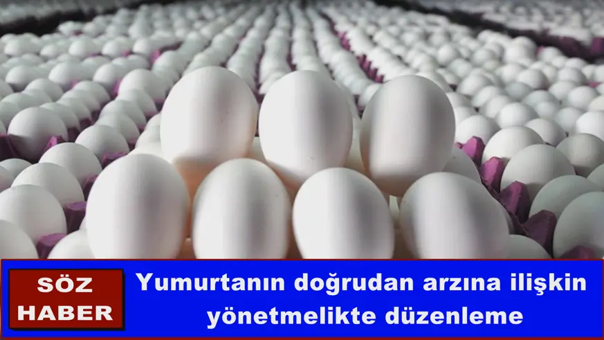 Yumurtanın doğrudan arzına ilişkin  yönetmelikte düzenleme
