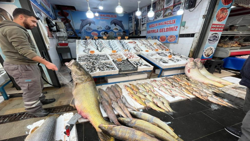 Batman’da 120 kiloluk dev turna balığı