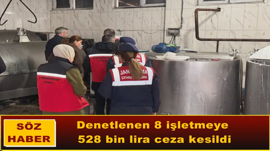  Denetlenen 8 işletmeye 528 bin lira ceza kesildi