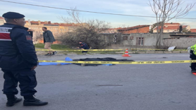 Çöp toplayan kadın kamyonun altında can verdi