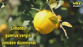 Limonda  gümrük vergisi  yeniden düzenlendi