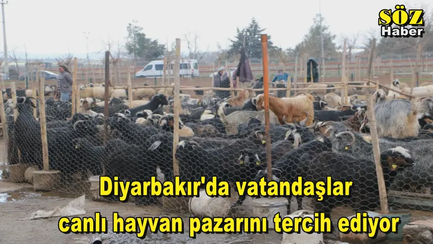 Diyarbakır'da vatandaşlar  canlı hayvan pazarını tercih ediyor