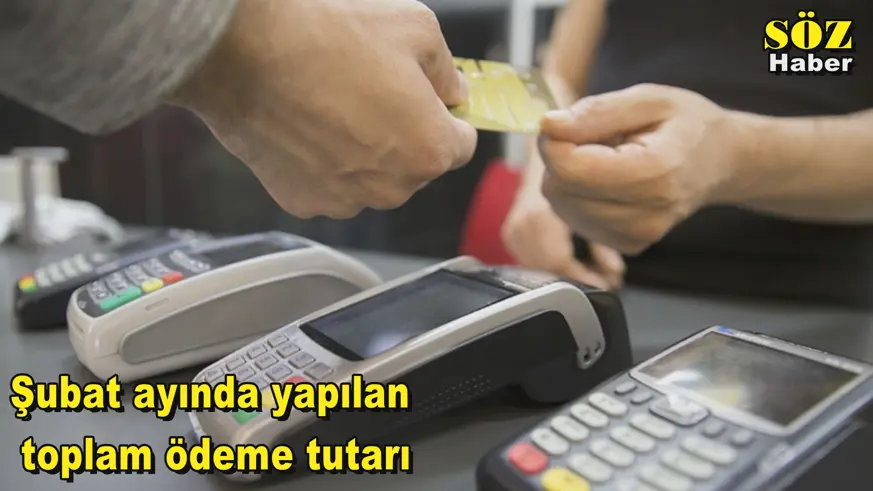 Şubat ayında yapılan  toplam ödeme tutarı