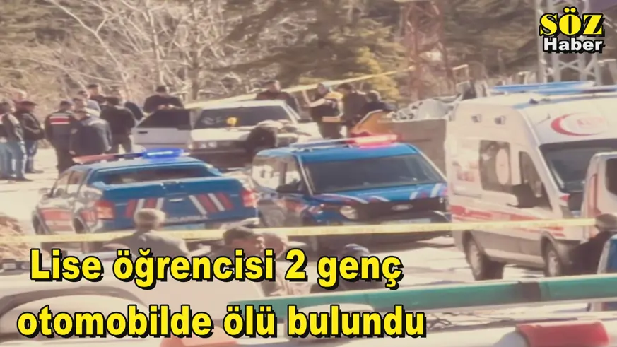 Lise öğrencisi 2 genç  otomobilde ölü bulundu