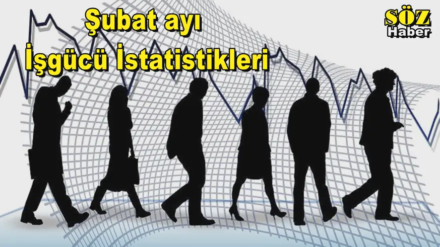 Şubat ayı  İşgücü İstatistikleri