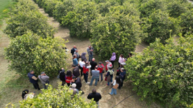 Tarımda yeni dönem başlıyor