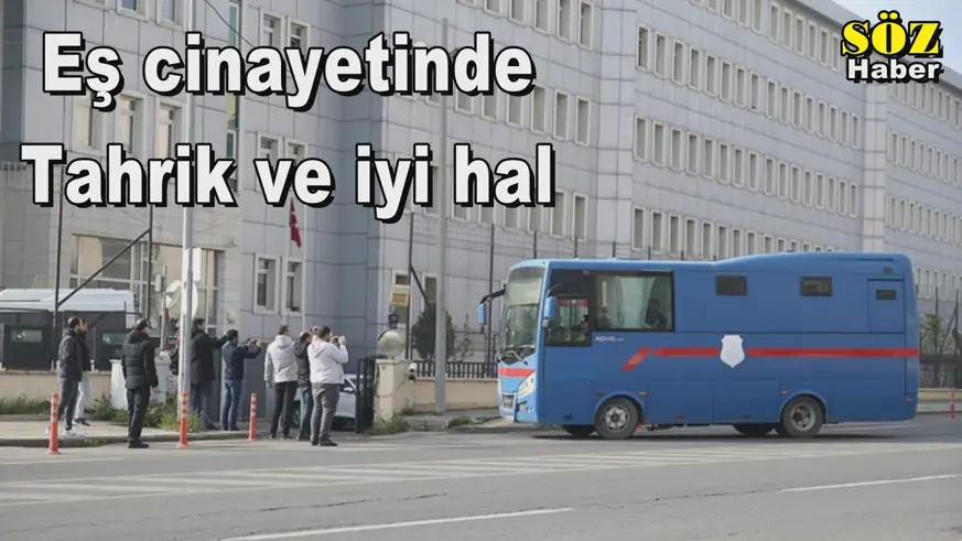 Eş cinayetinde Tahrik ve iyi hal