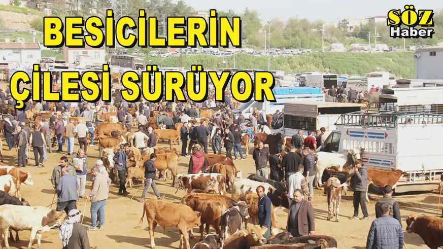 BESİCİLERİN ÇİLESİ SÜRÜYOR
