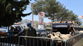 Diyarbakır'dan şehir dışına kurbanlık sevki devam ediyor