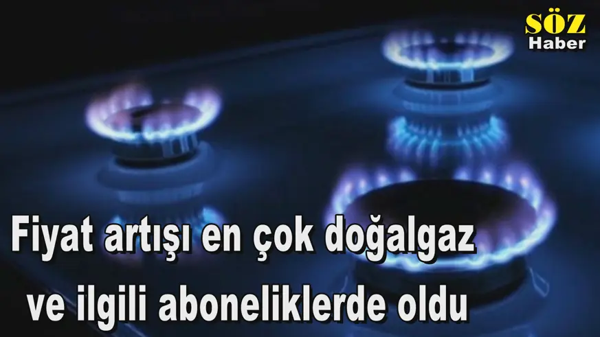 Fiyat artışı en çok doğalgaz  ve ilgili aboneliklerde oldu