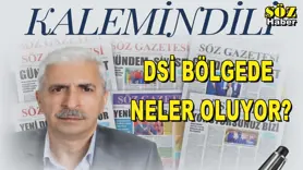 DSİ BÖLGEDE NELER OLUYOR?