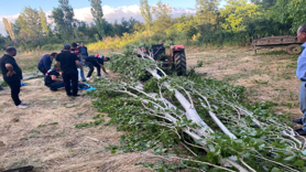 Kestiği ağacın altında kalan adam hayatını kaybetti