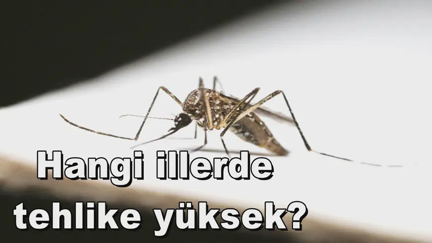 Hangi illerde  tehlike yüksek?
