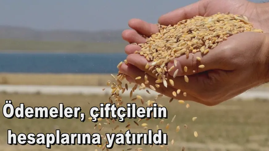 Ödemeler, çiftçilerin  hesaplarına yatırıldı