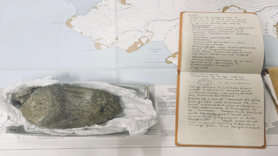 İlk dinozor kemiği bir çekmecede bulundu