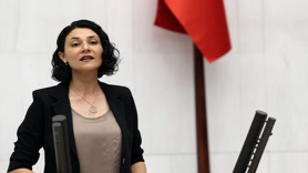 DEM Partili Demir’den Meclise önerge