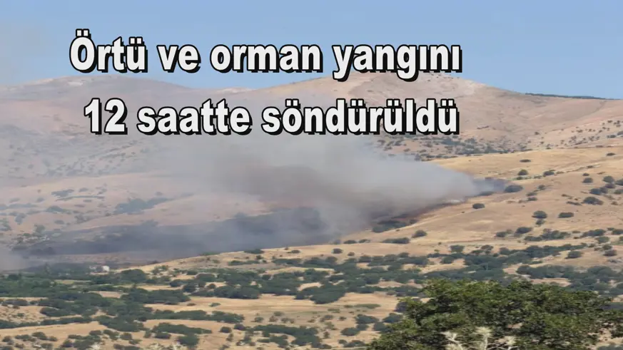 Örtü ve orman yangını  12 saatte söndürüldü
