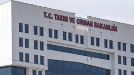 1874 Sözleşmeli Alınacak