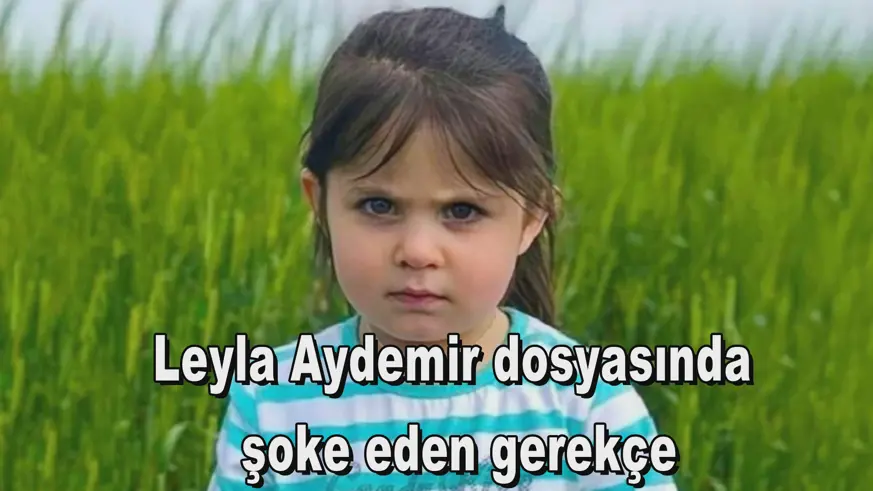 Leyla Aydemir dosyasında şoke eden gerekçe