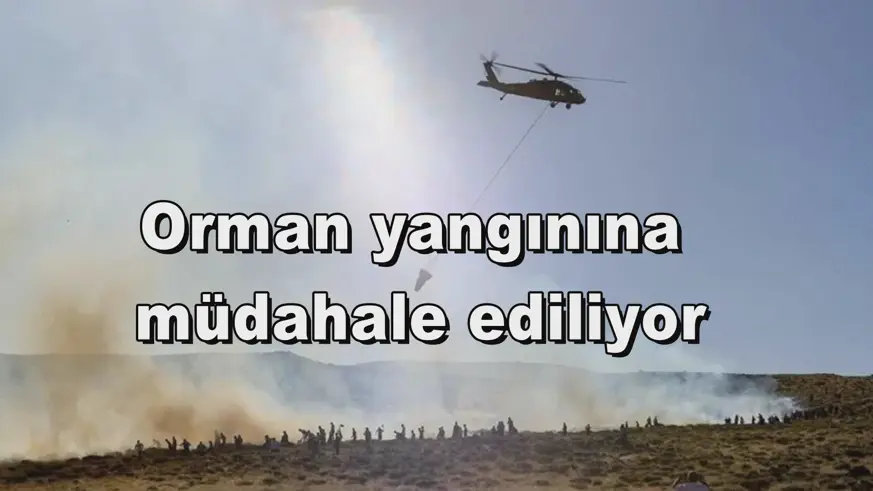 Orman yangınına  müdahale ediliyor