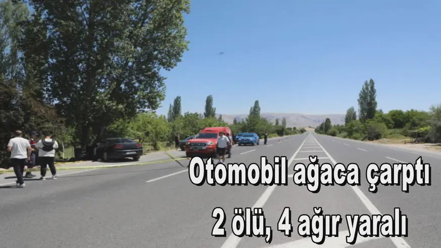 Otomobil ağaca çarptı