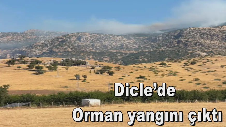 Dicle’de yangın