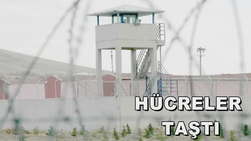 HÜCRELER  TAŞTI
