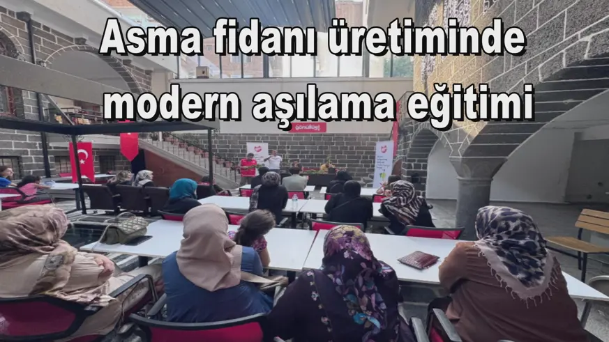 Asma fidanı üretiminde modern aşılama eğitimi