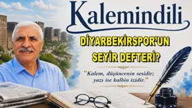 DİYARBEKİRSPOR’UN SEYİR DEFTERİ?
