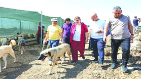 ‘Gerçeği yansıtmıyor’