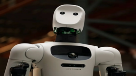 Pekin'de parklara 72 robot yerleştirildi