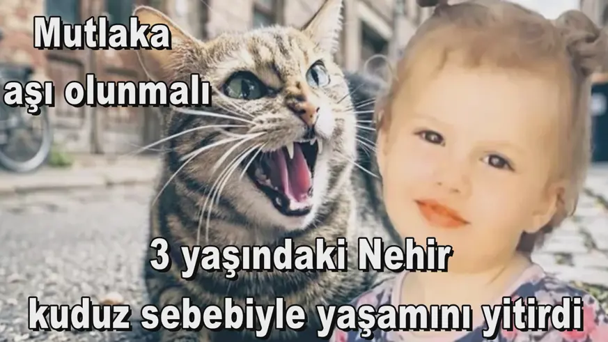 Mutlaka aşı olunmalı