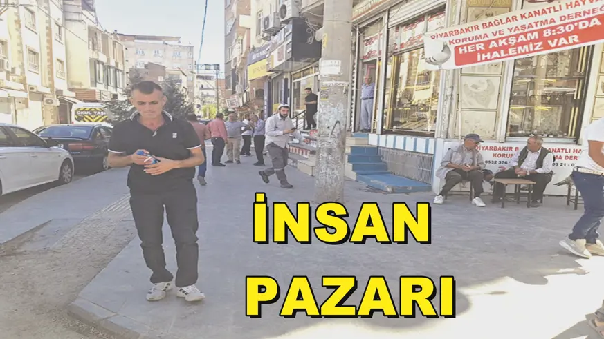 İNSAN  PAZARI