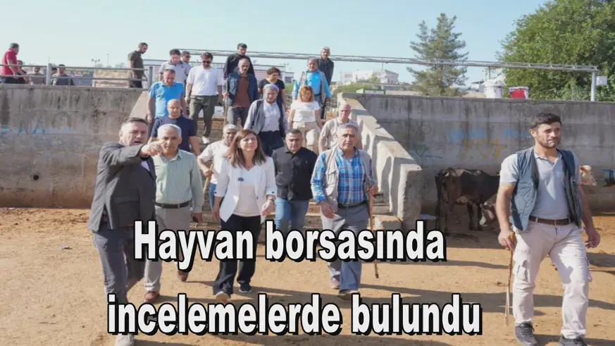 Hayvan borsasında  incelemelerde bulundu