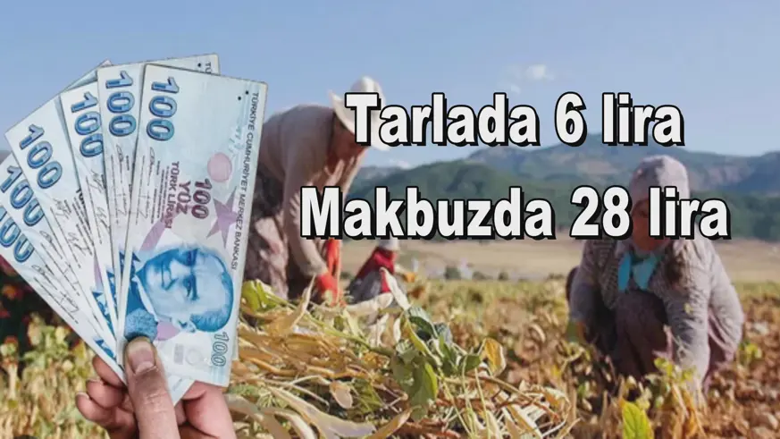 Tarlada 6 lira Makbuzda 28 lira