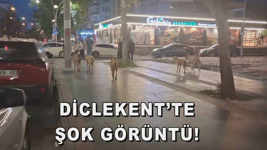 DİCLEKENT’TE  ŞOK GÖRÜNTÜ! 