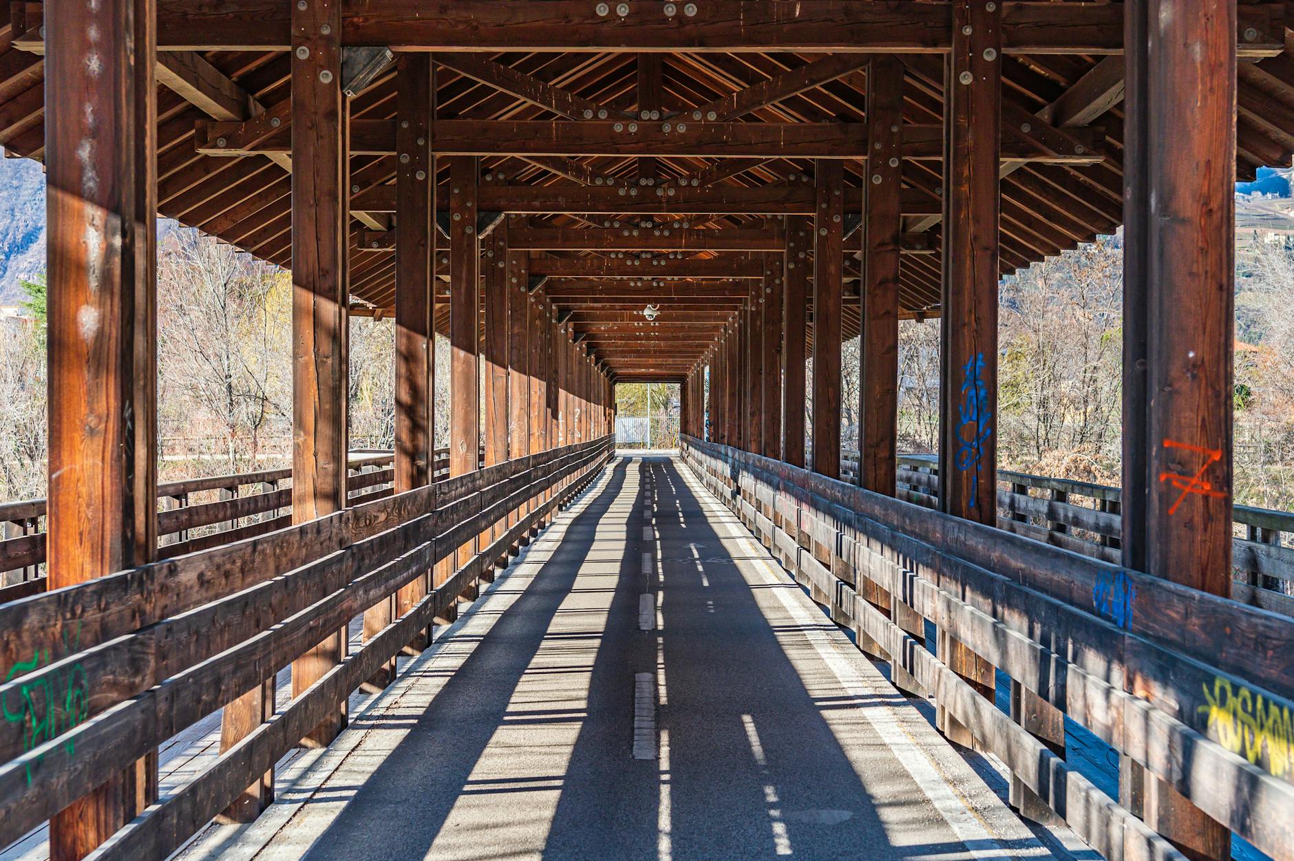 Fotoğraf: Duc Tinh Ngo