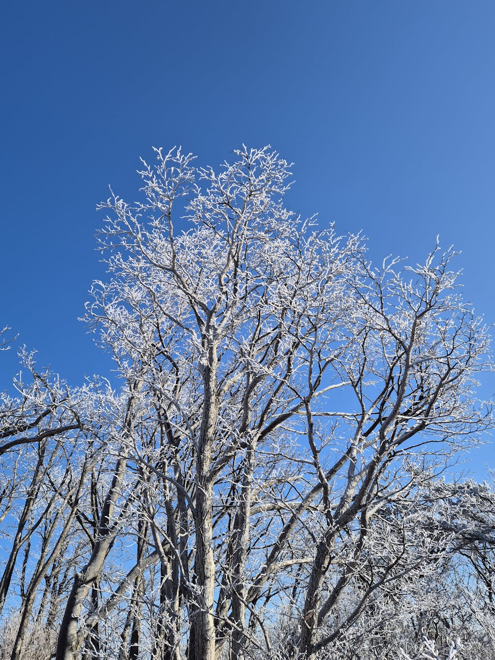 Fotoğraf: Nicholaus Choi